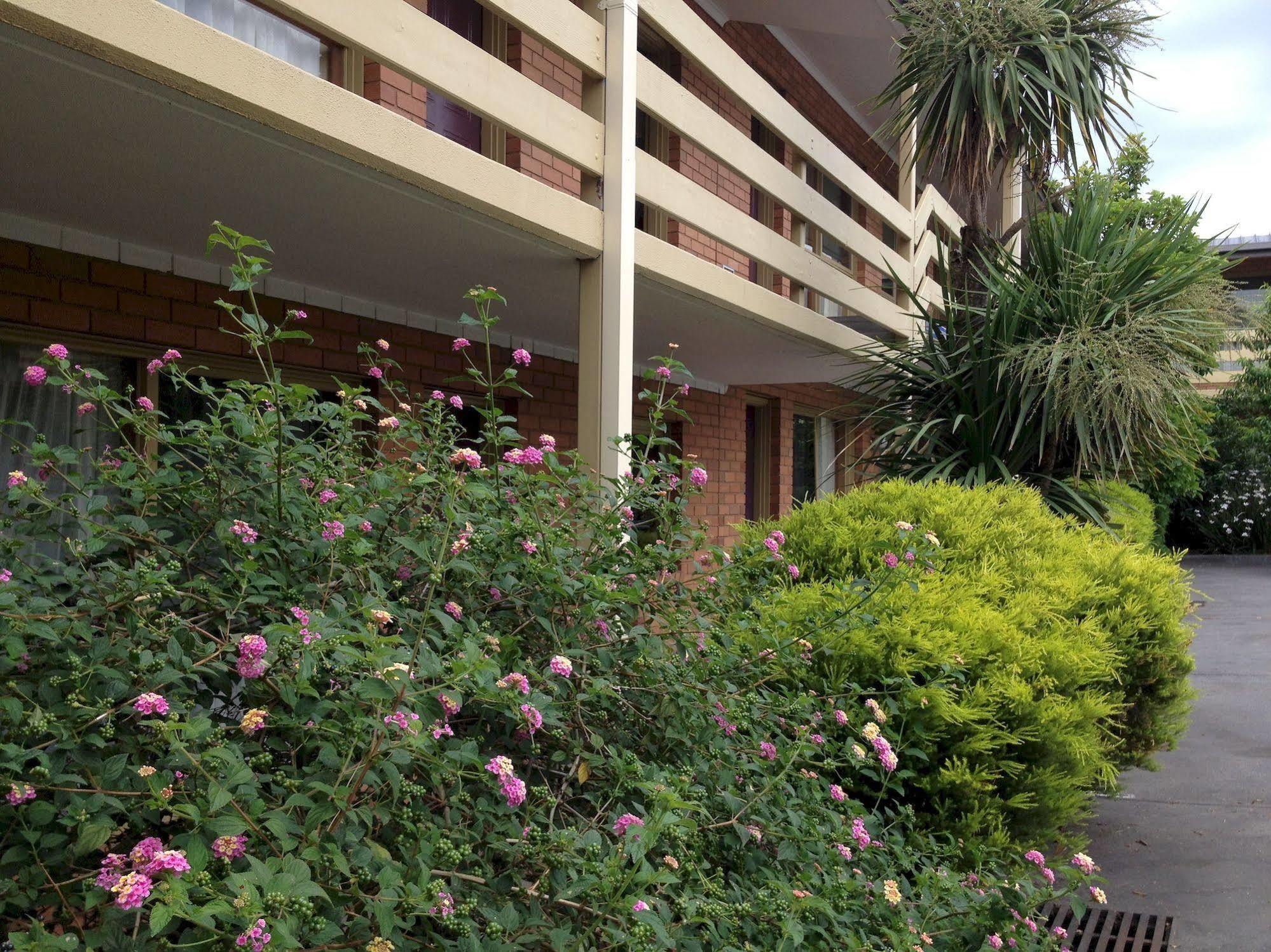 Essendon Motel Essendon North Екстериор снимка